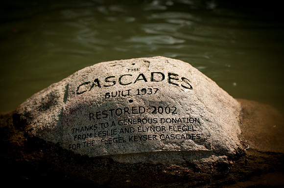 The Rock
